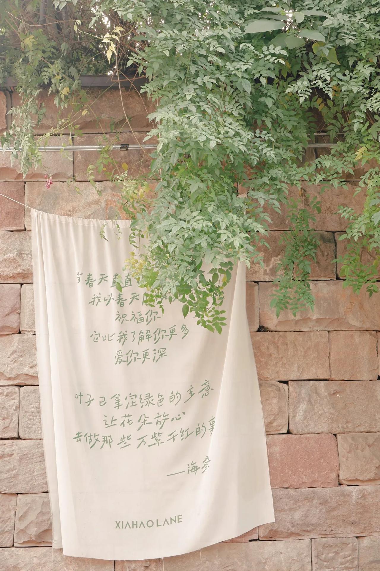 2025年的尾声，我想说:爱你老己！

谢谢你，在孤独时没有放弃，用阅读和独处的