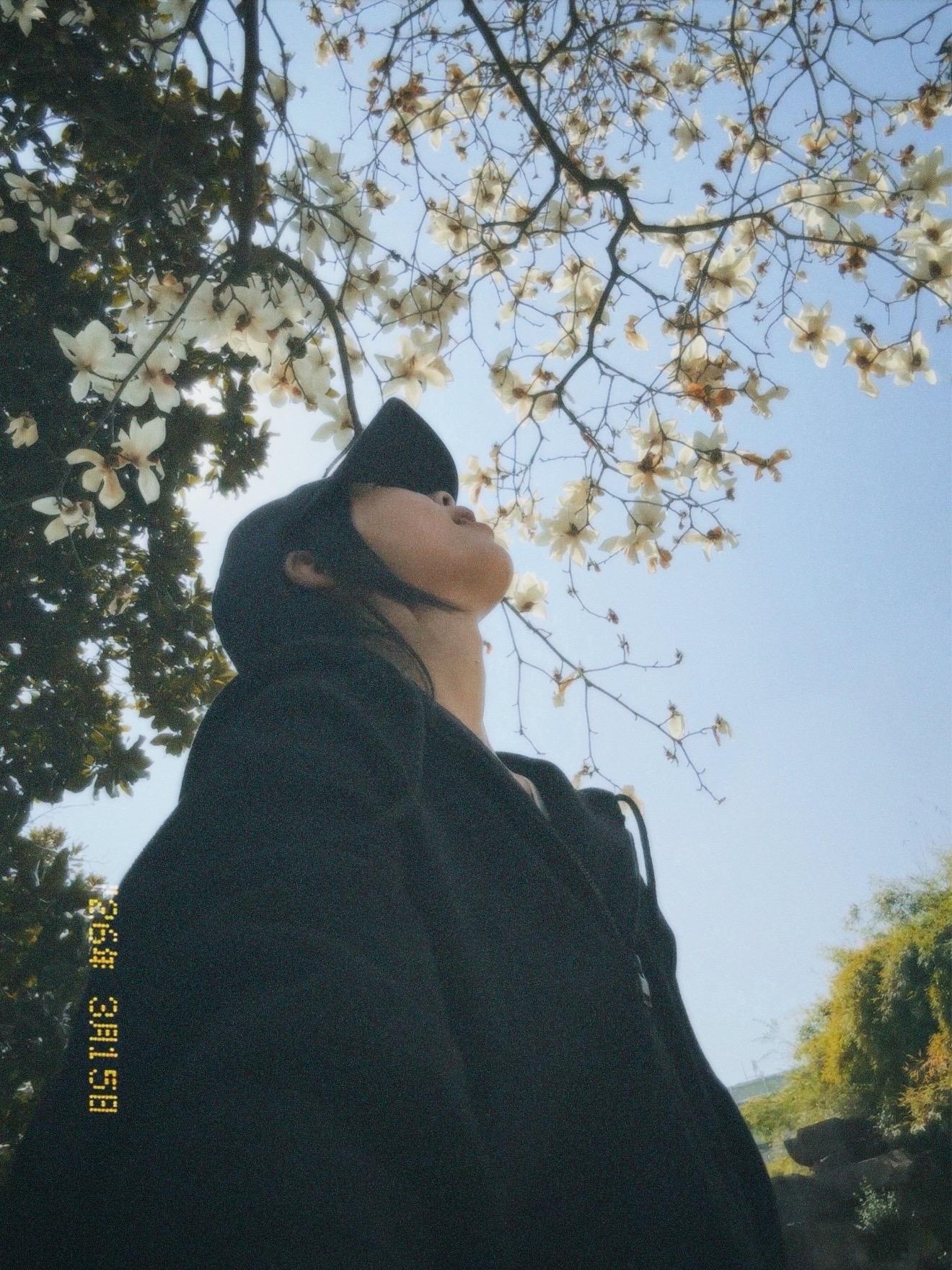 从房子走出去，站在春天中间。春天给我照相，新的光，新的叶，我是春天新长出的人