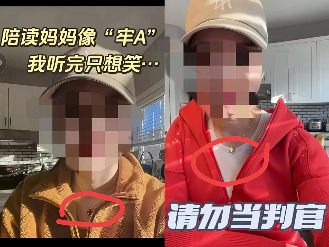 一位在加拿大陪读的妈妈，长期通过视频塑造“异国艰辛带娃”的悲情母亲形象，积累大量