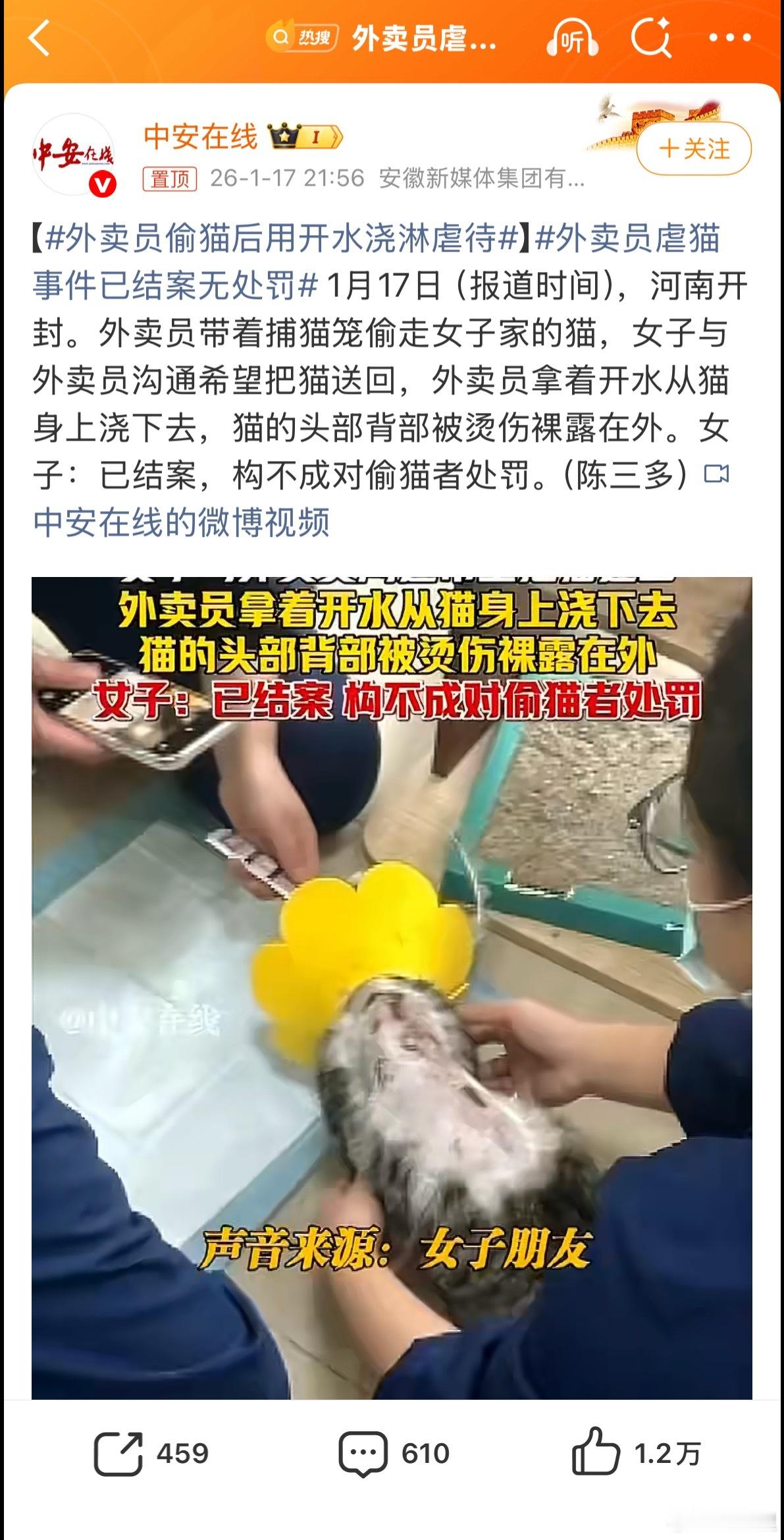 外卖员虐猫事件已结案无处罚宠物是个人财产。偷走个人财产，实为偷盗。用开水虐待，实