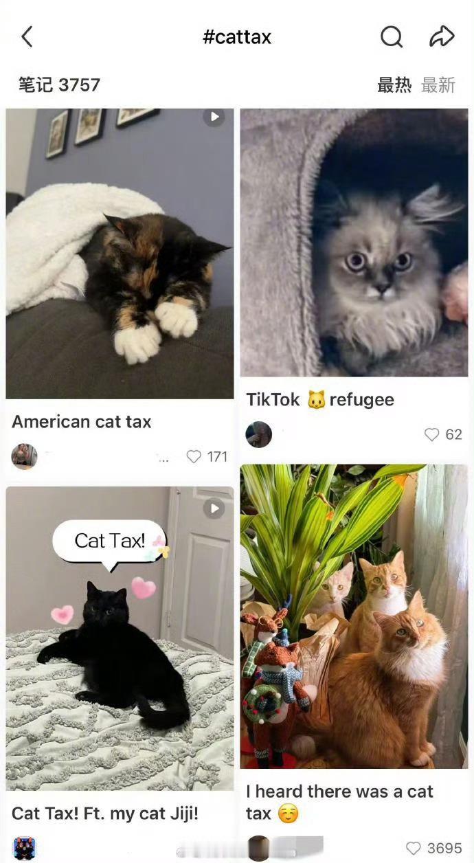 美国网友涌入小红书交猫税 给歪果仁看看我们的猫～个个都是国宝，还会跟奶爸对着干！