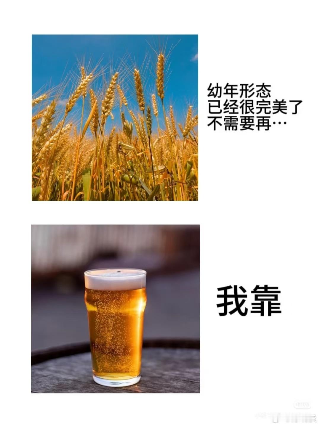 一点了没睡的人在干嘛 