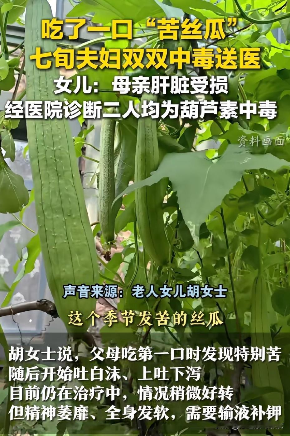 千万别小看发苦丝瓜的威力！这种苦味瓜类(除了苦瓜)，苦了就果断扔，千万别舍不得扔