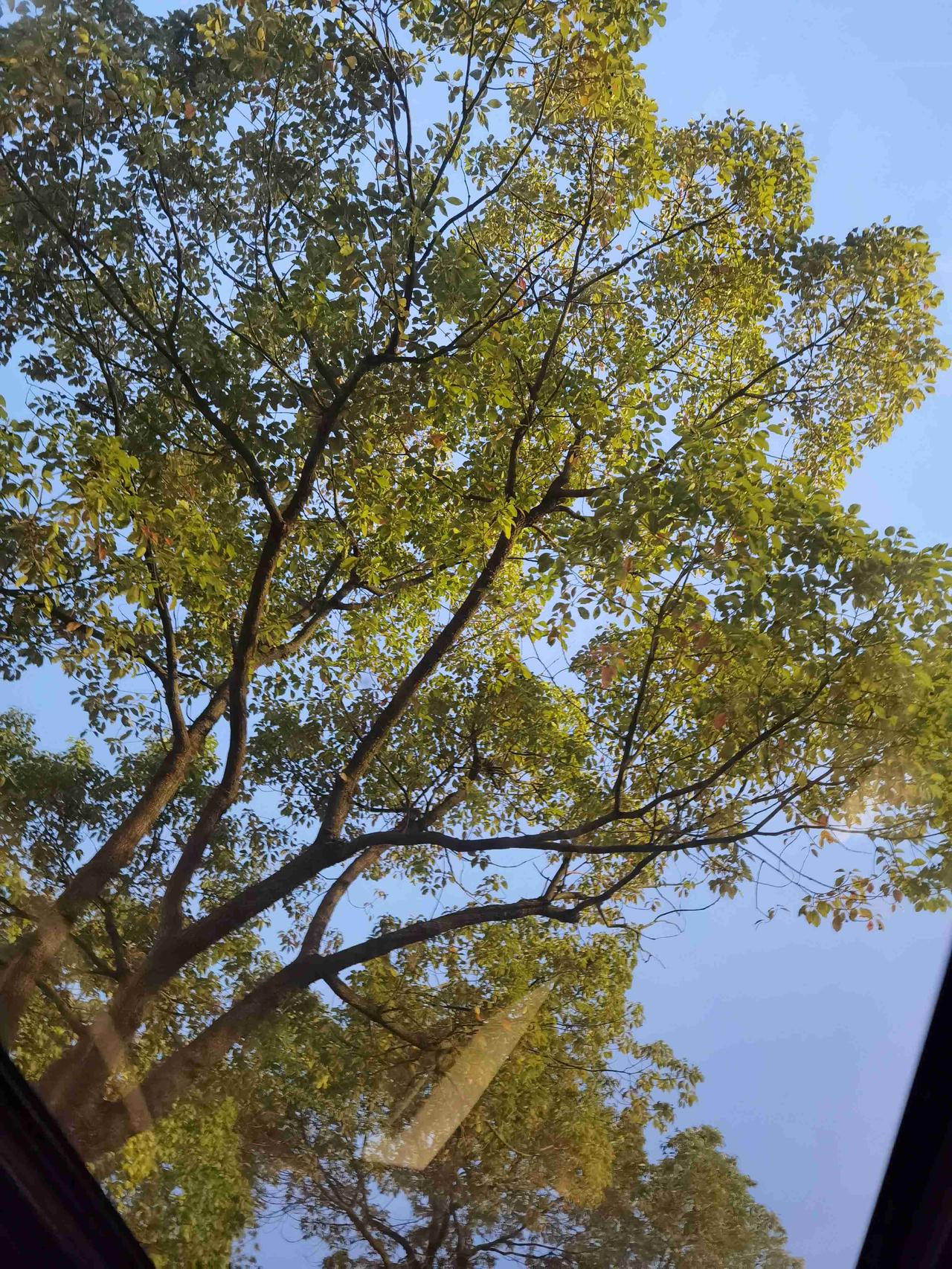 我的今日状态：💪🏻充满干劲
我这里的天气：☁️阴天
今天一天的好心情在下班的