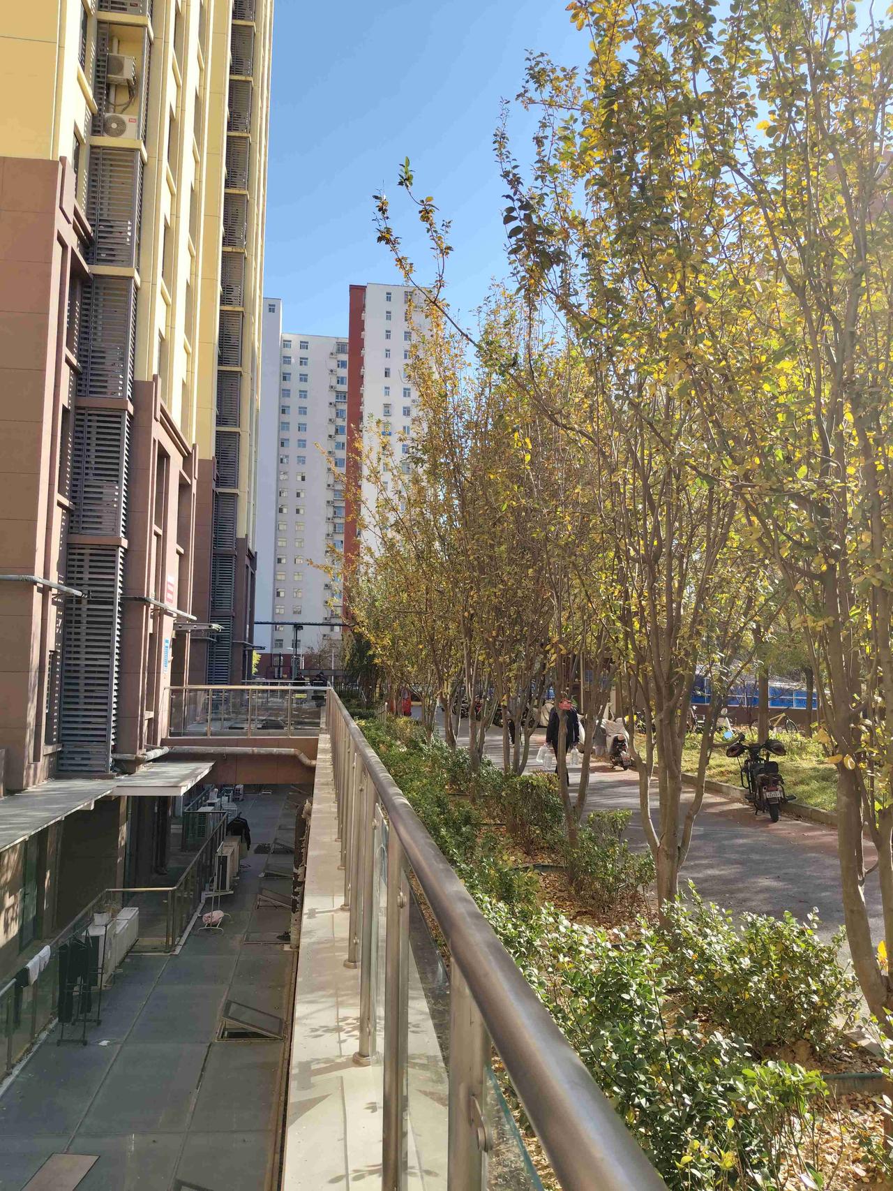 我的今日状态：💪🏻充满干劲
我这里的天气：💨大风