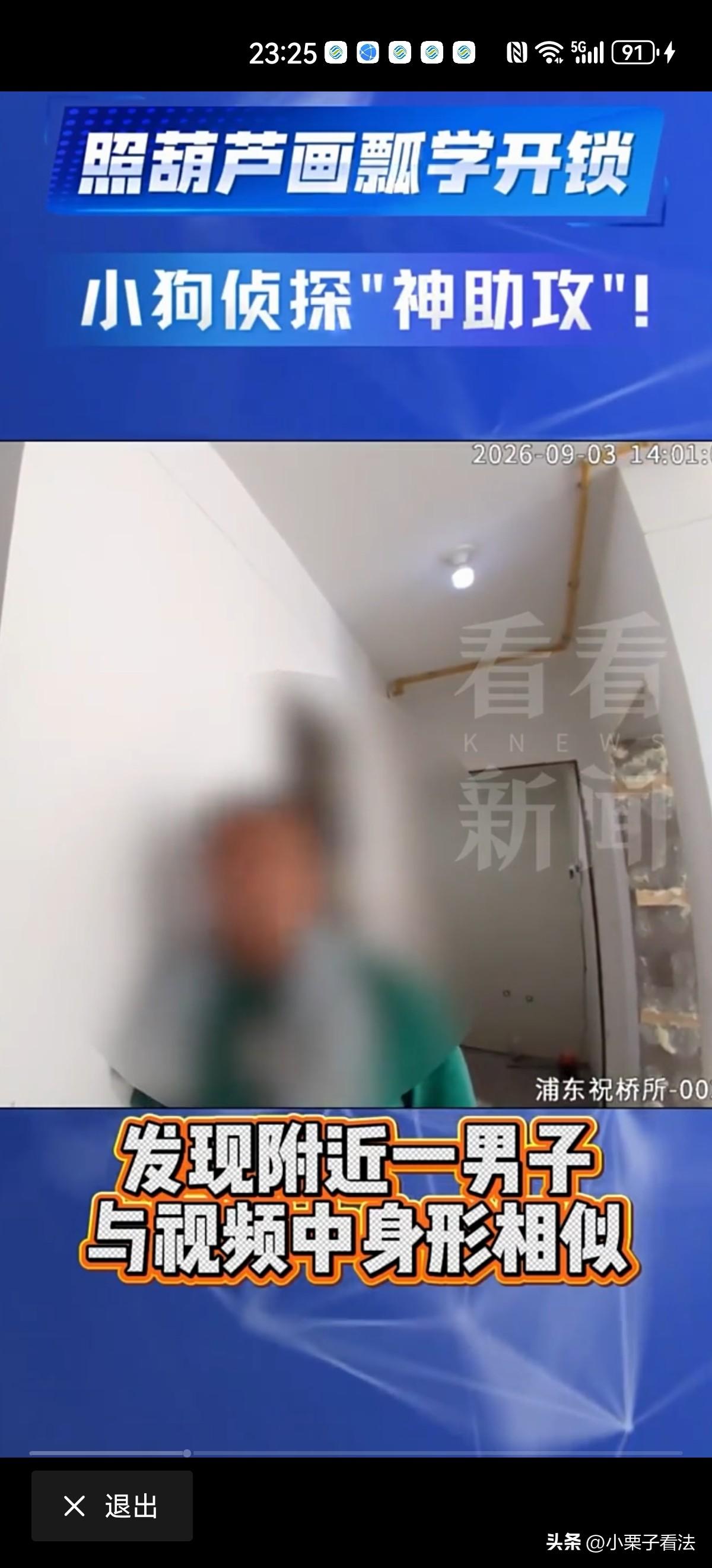 全网最萌神探！上海，女子常年居住在国外，家中有一只小狗，她雇佣喂养师上门投喂时，