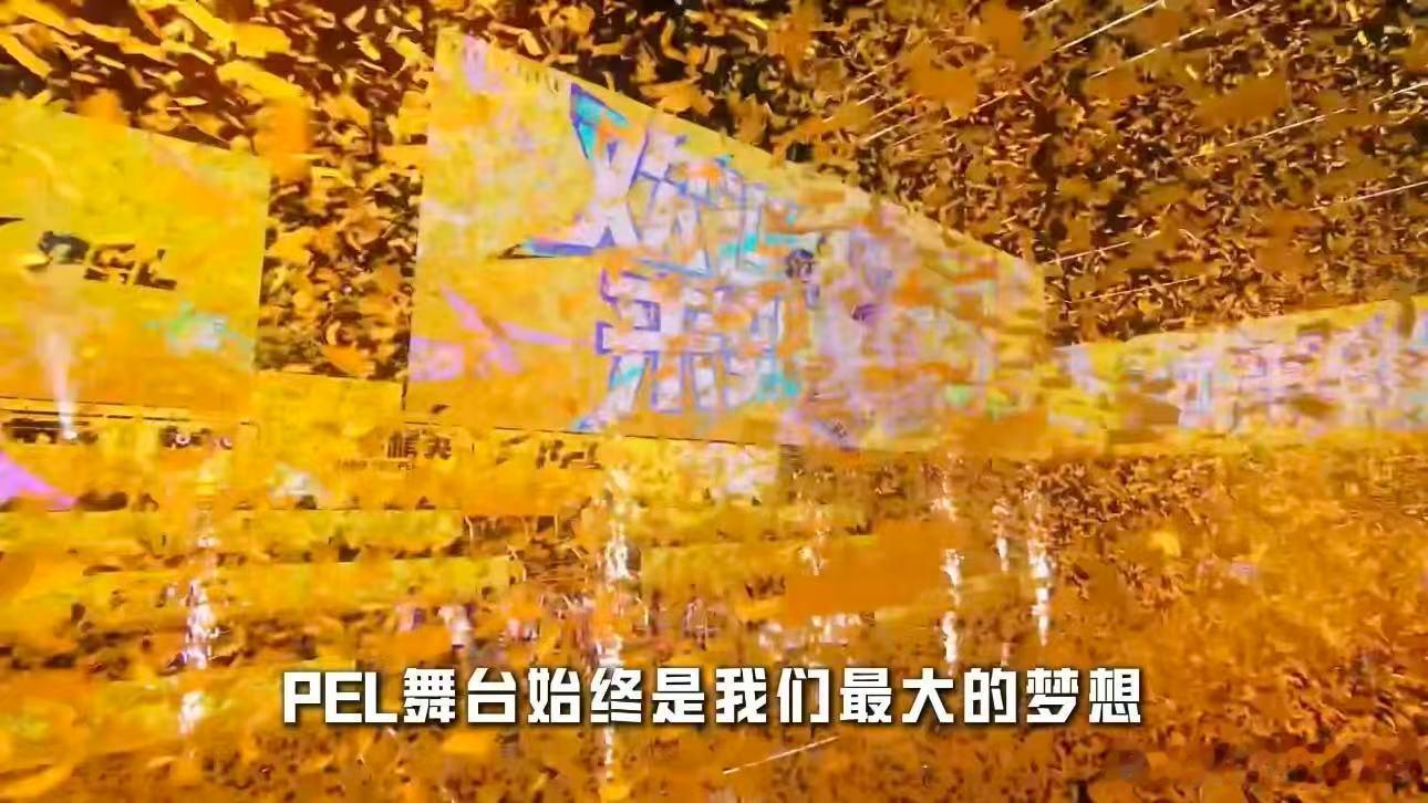 马家班八冠阵容接力AG征战拿下全国大赛八冠的马家班正式接力AG出战，带着前辈积攒
