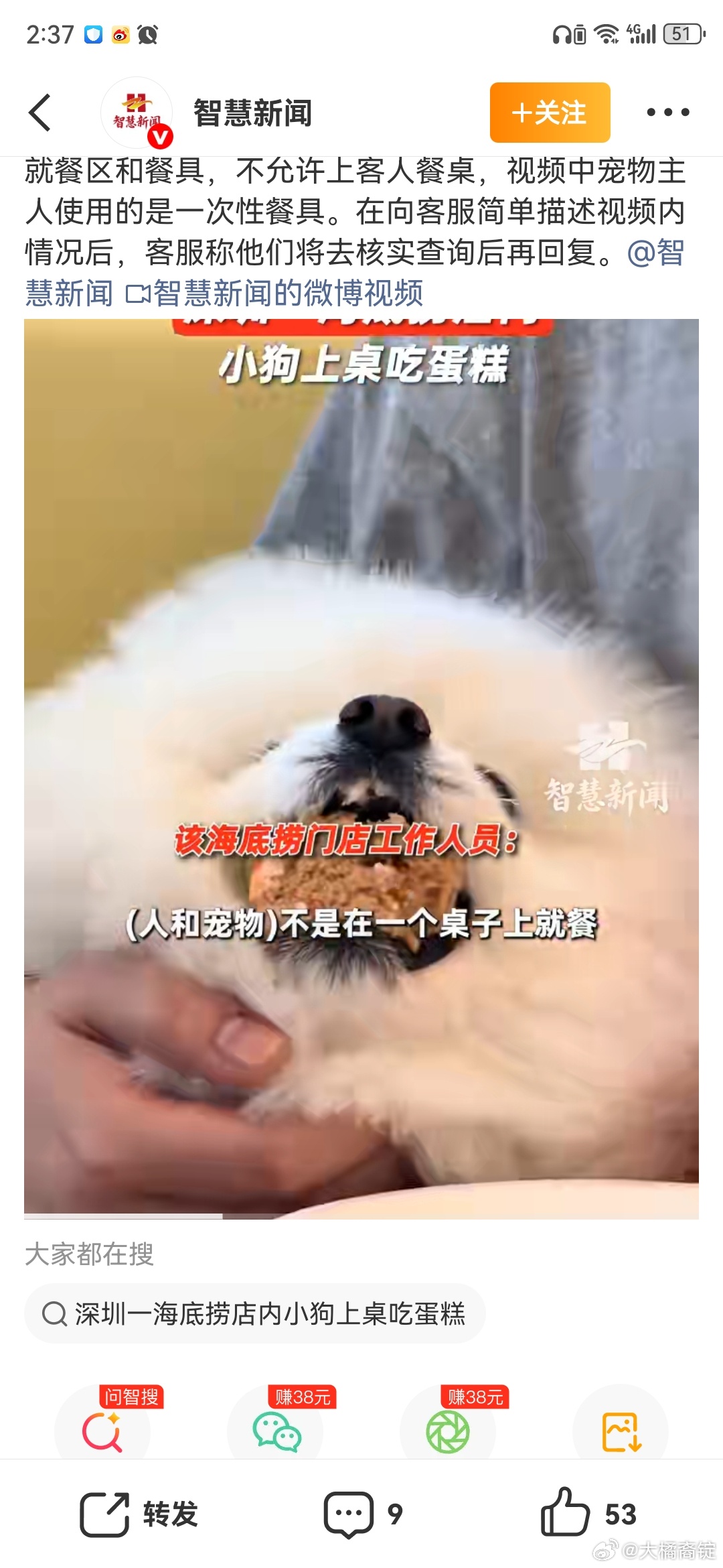 海底捞门店回应小狗上桌吃蛋糕深圳海底捞小狗上桌吃蛋糕”事件事件本身：争议源于“规
