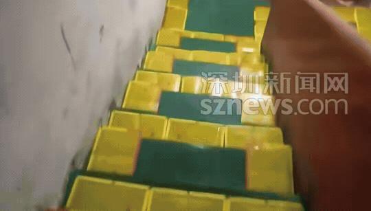 “太硬核了！”广东，男子发现仓库里堆放的杂物被老鼠啃的满地都是，他忍无可忍，无需