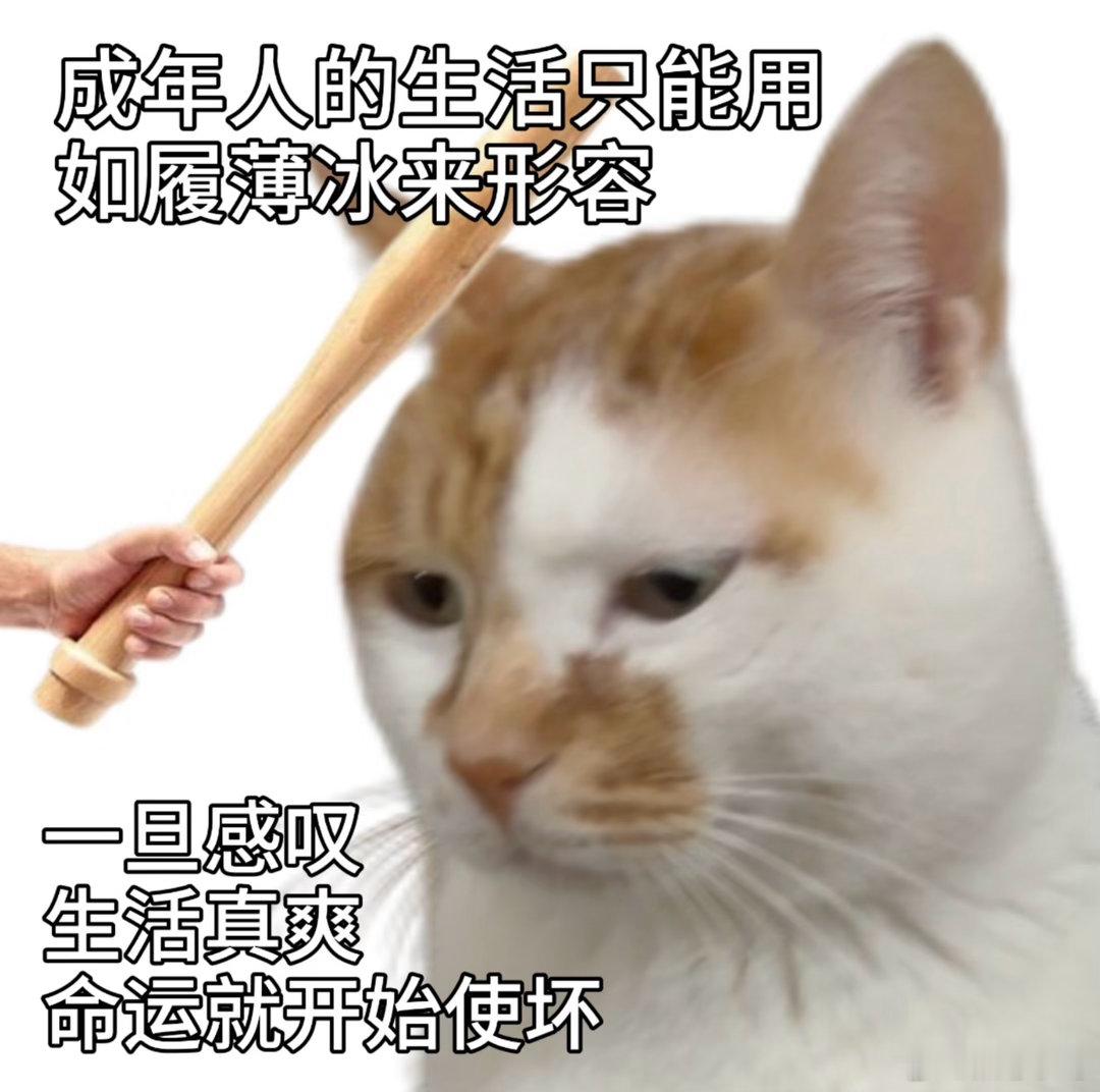 其实不想上班根本不需要辞职，话是这么说，但是那些自己摆烂还影响其他人，耽误大家工