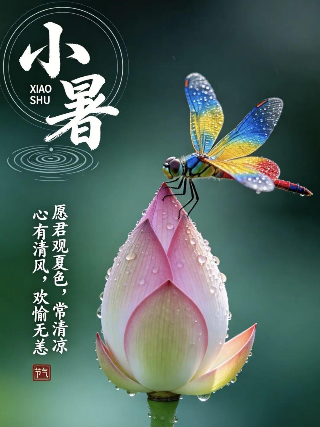 蝉鸣聒噪小暑长，烟火伴时光。不必追赶燥热的晨光，多饮温水，放缓脚步，让心静下来，