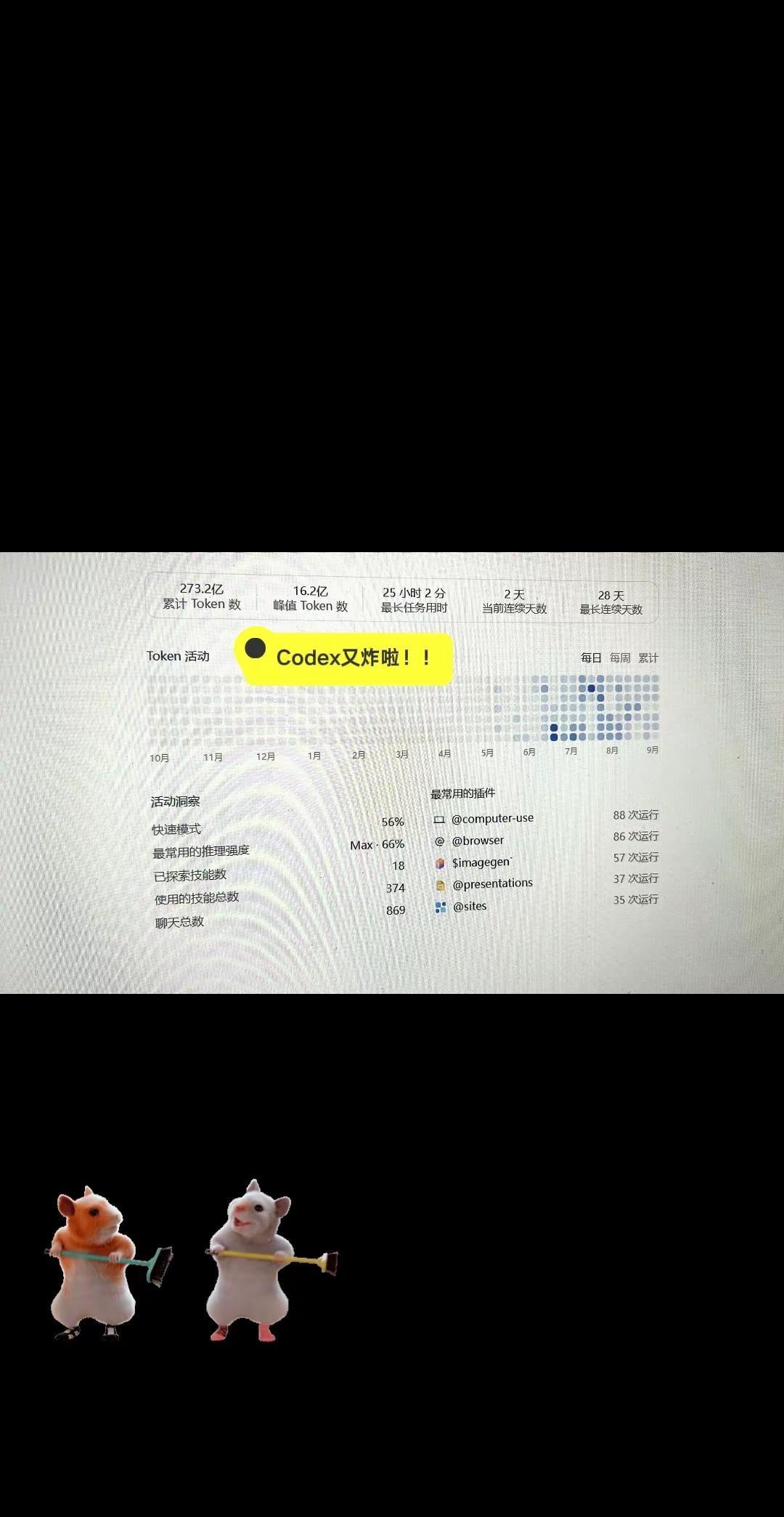 Codex又又又炸了！！你们也有同样的情况吗？？ 还是只有我？我快崩溃了😫 大
