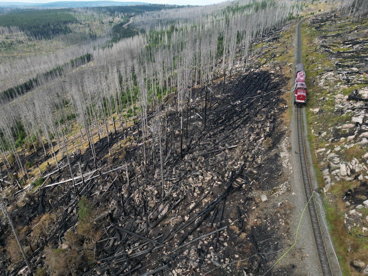 除了持续燃烧煤炭、石油和天然气带来的高排放外，越来越频发的森林和灌木丛火灾也加剧