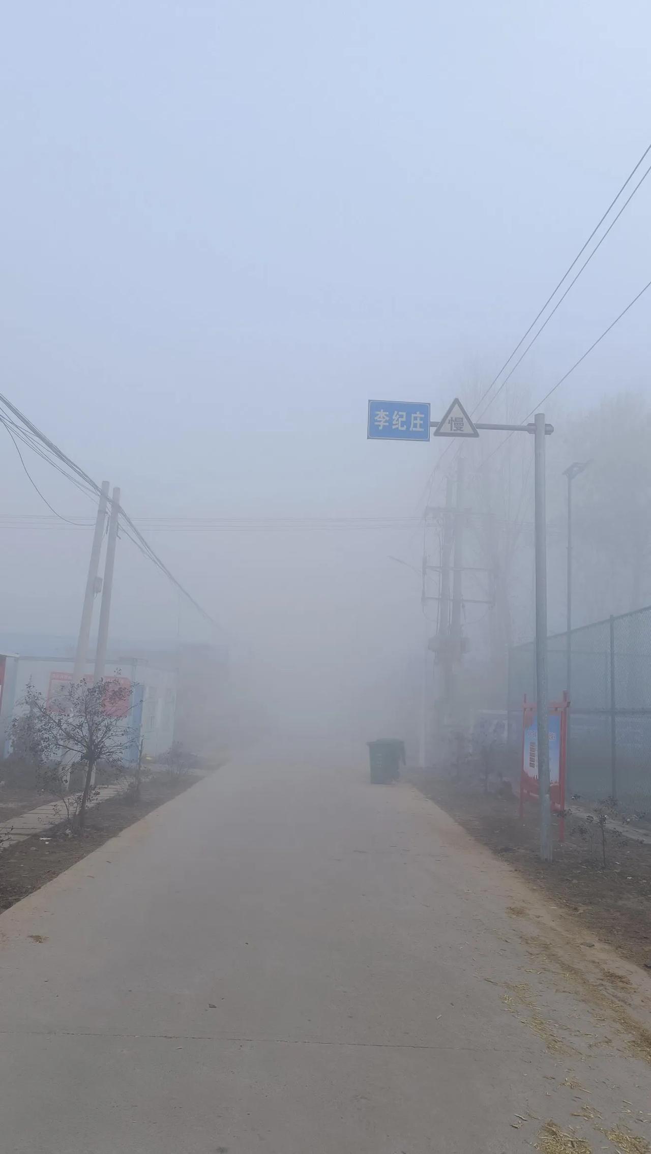 大雾漫天的农村，仿佛人间仙境一般