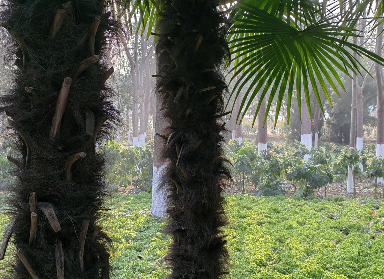 某医院催了不少于四次，让去退“就诊卡”里的余额，好像很真诚的架势。
“就诊卡”当