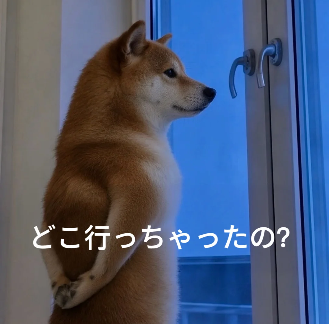 霓虹负鼠外贸表情包（日语版）