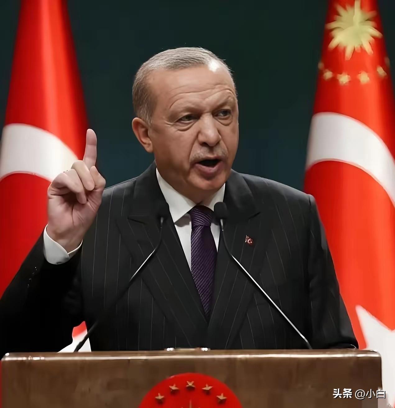 中国和土耳其谈话了
3月25日，土耳其终于等不了了，一通电话打到了中国，土耳其外