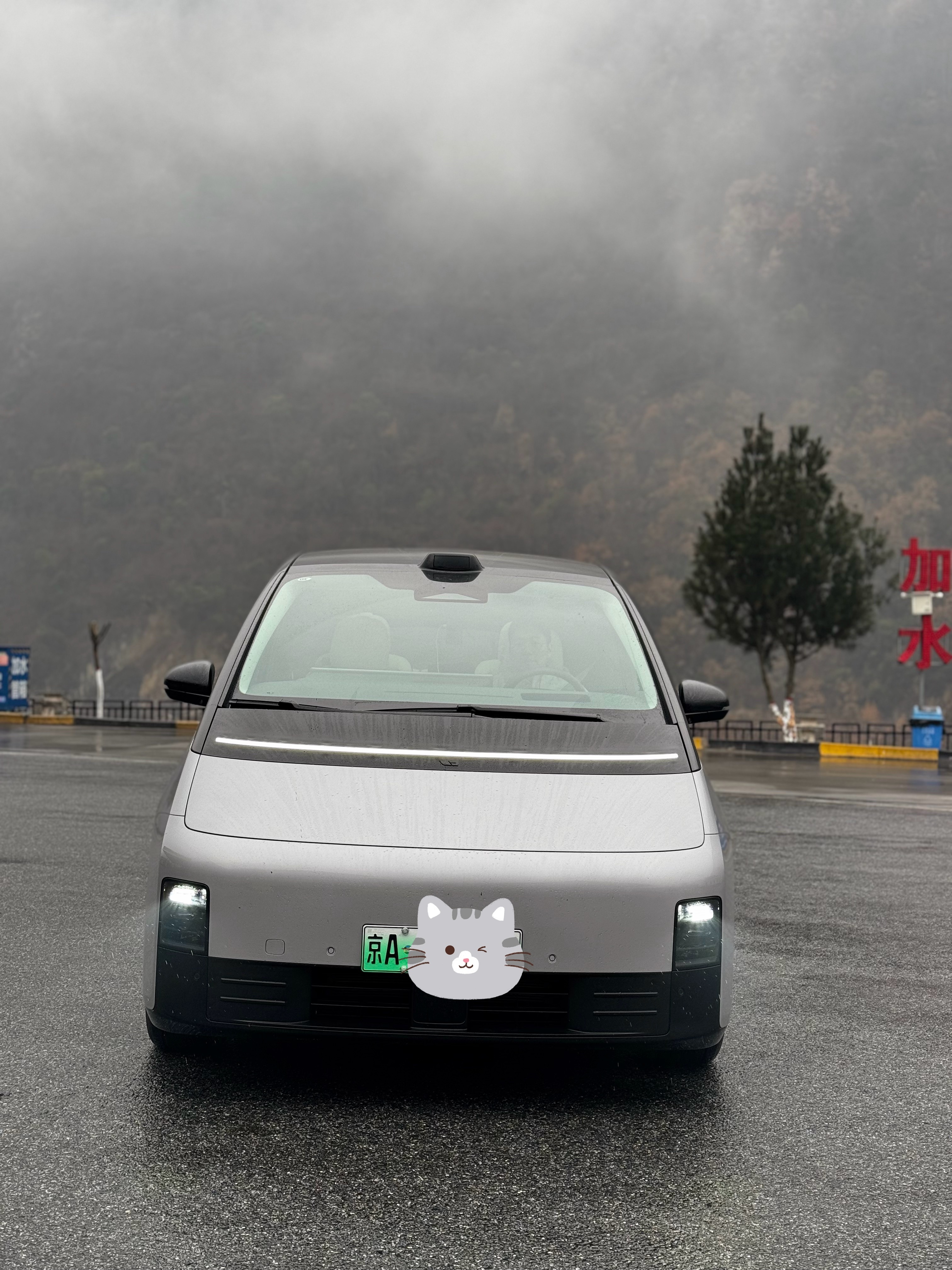 MEGA 的前脸，腾势 D9的屁股，名字叫 D99，难道现在靠谁起名字数字大就能