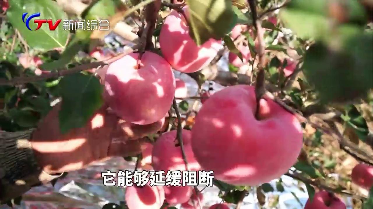 果锈多、苦痘病，教你一招解决！