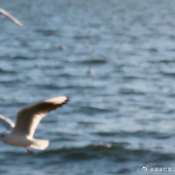 合上相机，关上灯，今夜，让梦在黑暗里慢慢显影成诗。 