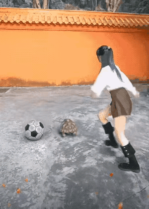 就一脚[捂脸][捂脸][捂脸]