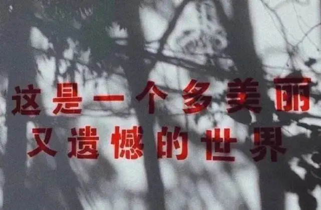 分享图片 