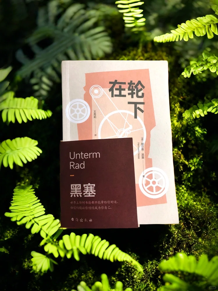 豆瓣9.0|人人都爱的黑塞：谁不被现实追赶？
