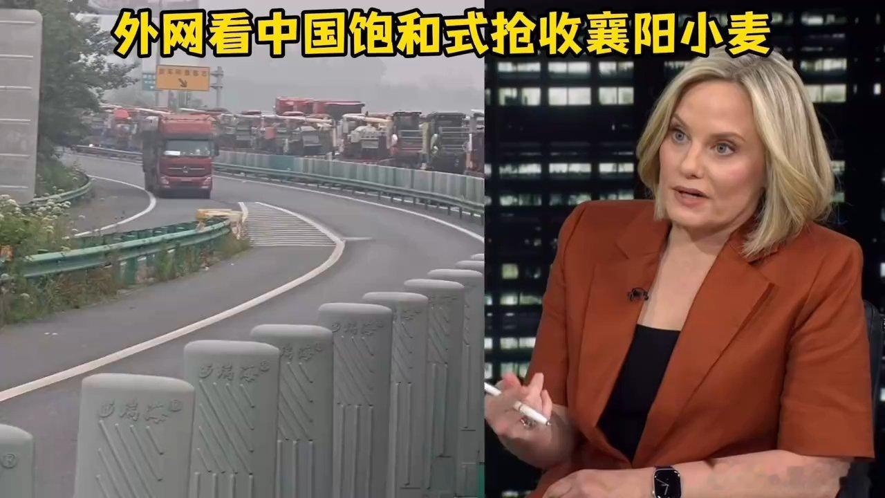 凤凰新闻【外网被中国“饱和式抢收小麦”彻底刷屏：我终于明白中国为何能创造奇迹了】