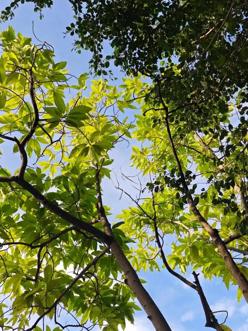 一段非常通透的话：“人要是快交大运了，老天爷绝不会让你舒舒服服躺着，它会先把你扔