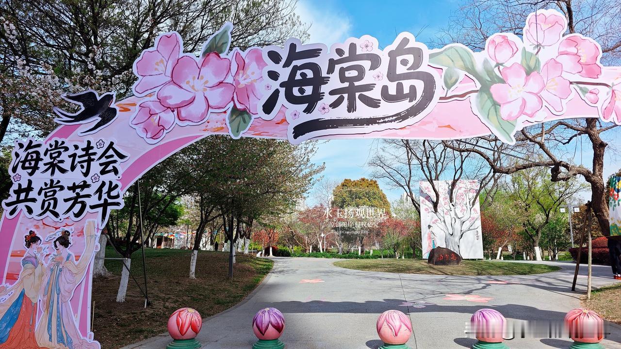 真没想到泰州藏着这么个神仙地方！上周刷到本地朋友发的海棠花海，临时起意开车来逛，