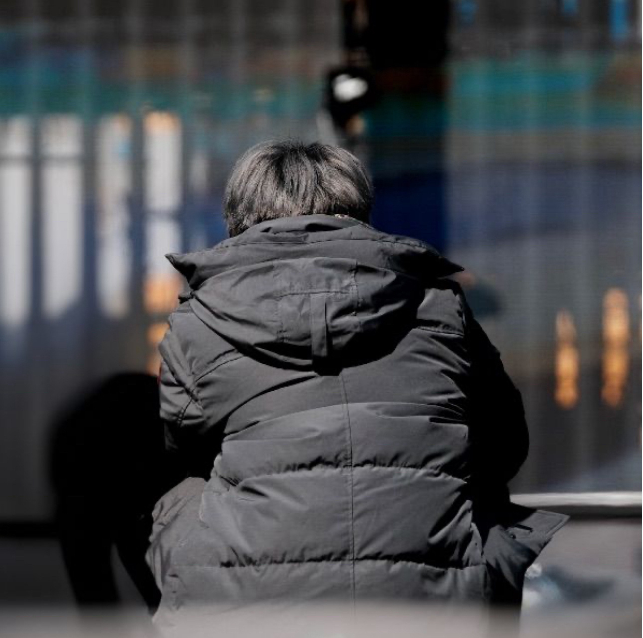好萌的一坨小狗 