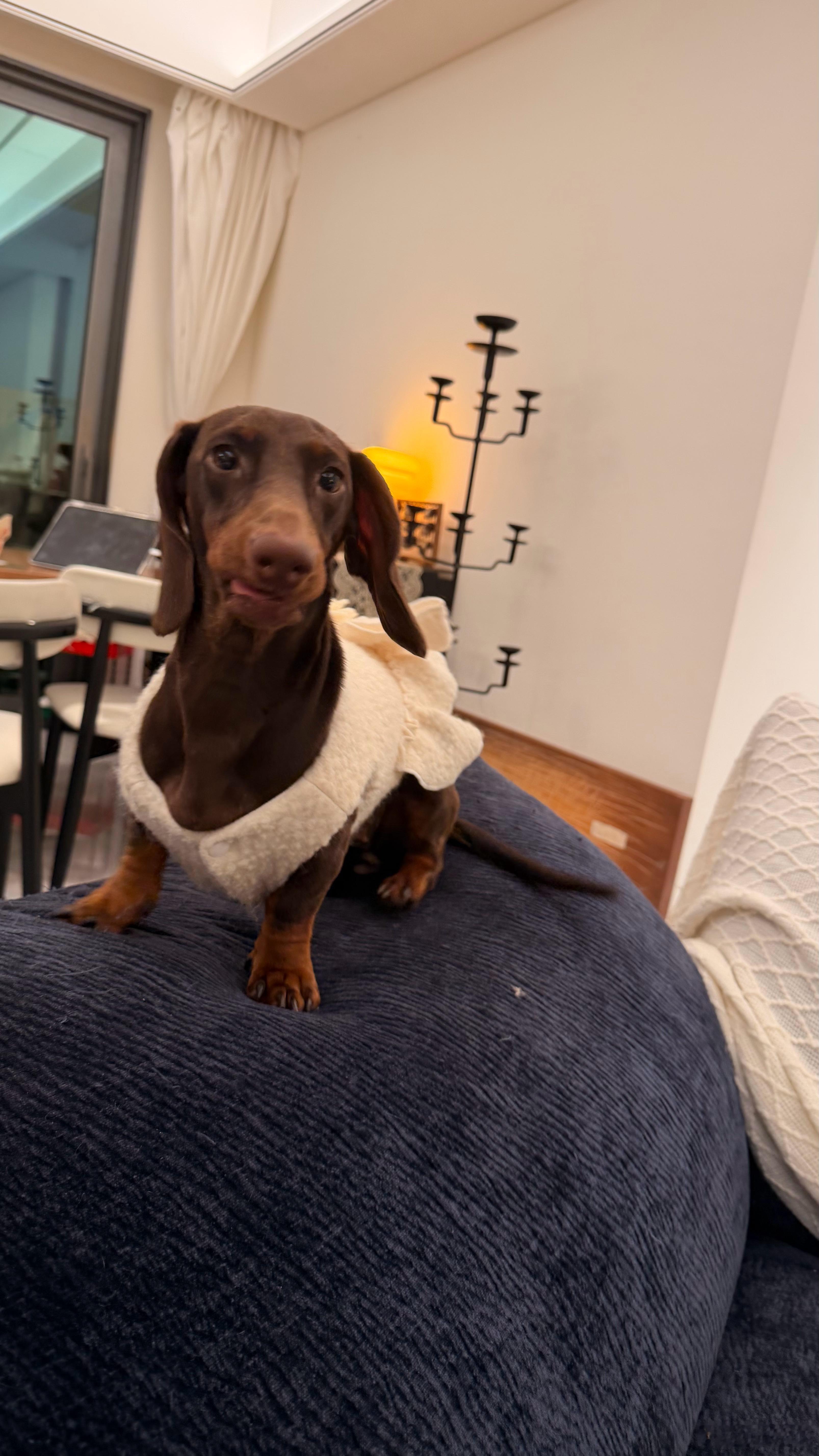 初八 开工大吉🧨 