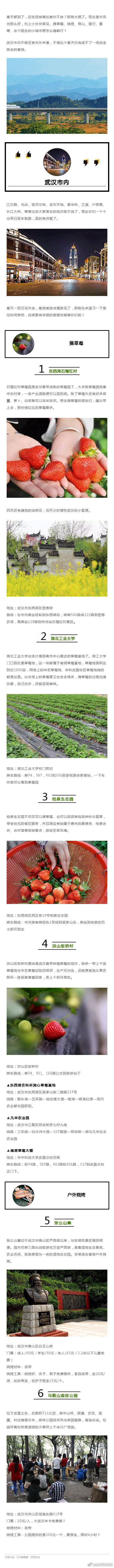 【50种武汉春游玩法】现在室外风光那么好，约上小伙伴赏花、摘草莓、烧烤、爬山、骑