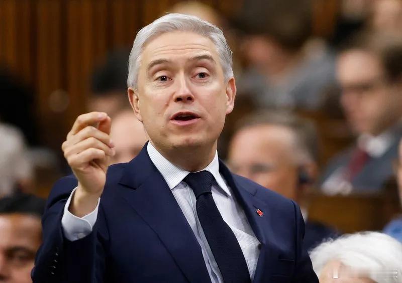 【加拿大表示正与合作伙伴共同推进设立国防银行的计划】[美国还是不是“伙伴”？“安