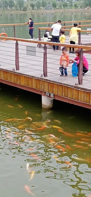 下联：柳舞堤岸赏鱼游。