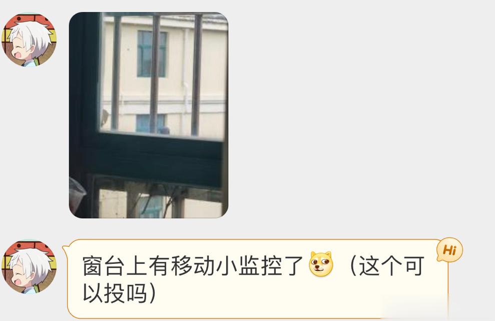 #鸟粉投稿# 窗台上筑巢的【珠颈斑鸠】这个小眼神哈哈哈哈哈 ​​​