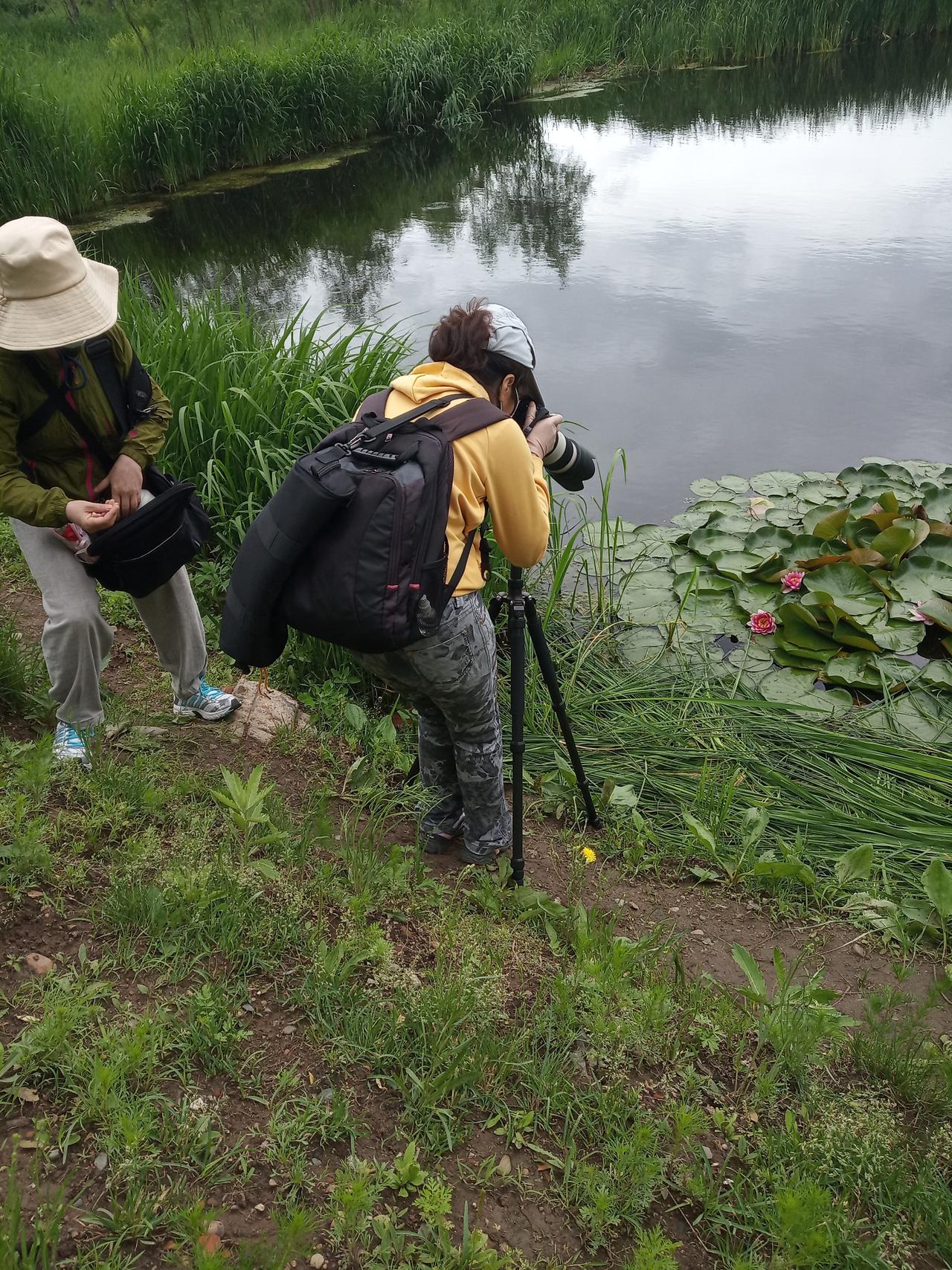 莲花公园的夜晚，多像一位慈祥的老人安静进入梦乡
牡丹江莲花公园的夜景也很美，如果