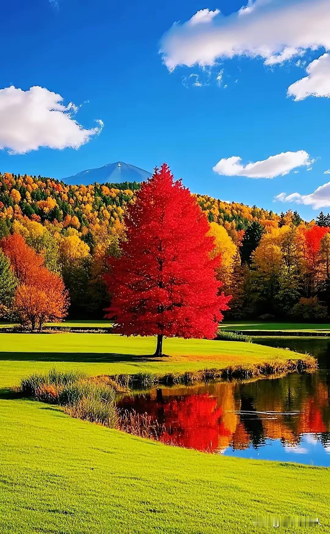 今日头条成为我每天必须使用的一个社交平台，每时每刻都离不开他，我非常喜欢它！
