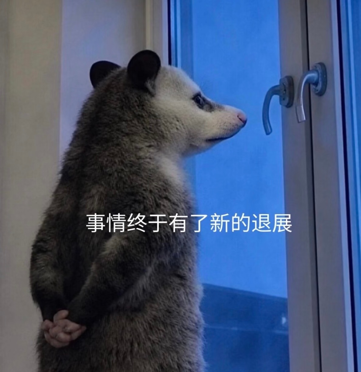 豆包将正式付费 豆包，我的再生父母，怎么我刚用一年你就要我给你养老呢？感觉我已经