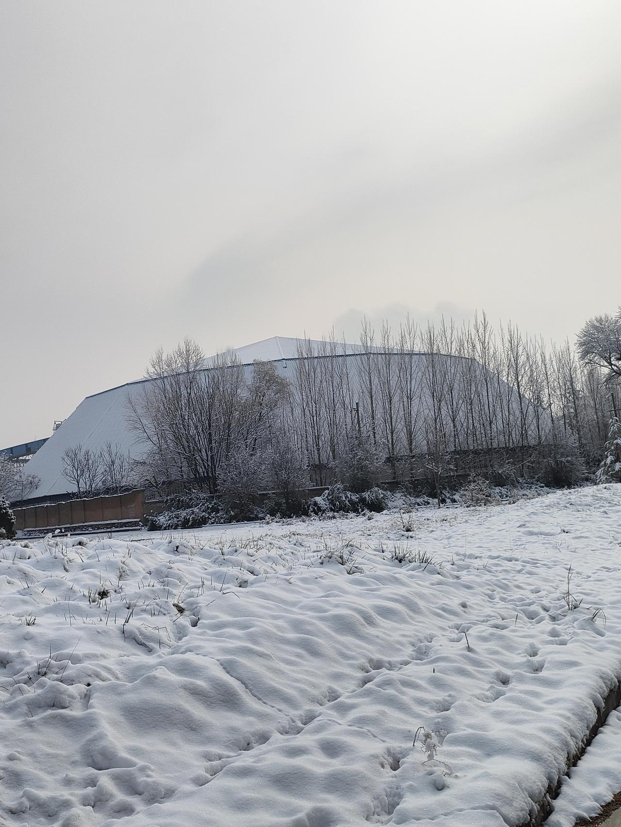 ❄️建筑披着雪做的绒毯，枯树把影子拓在白茫茫的寂静里，连风都慢成了留白的诗。
?