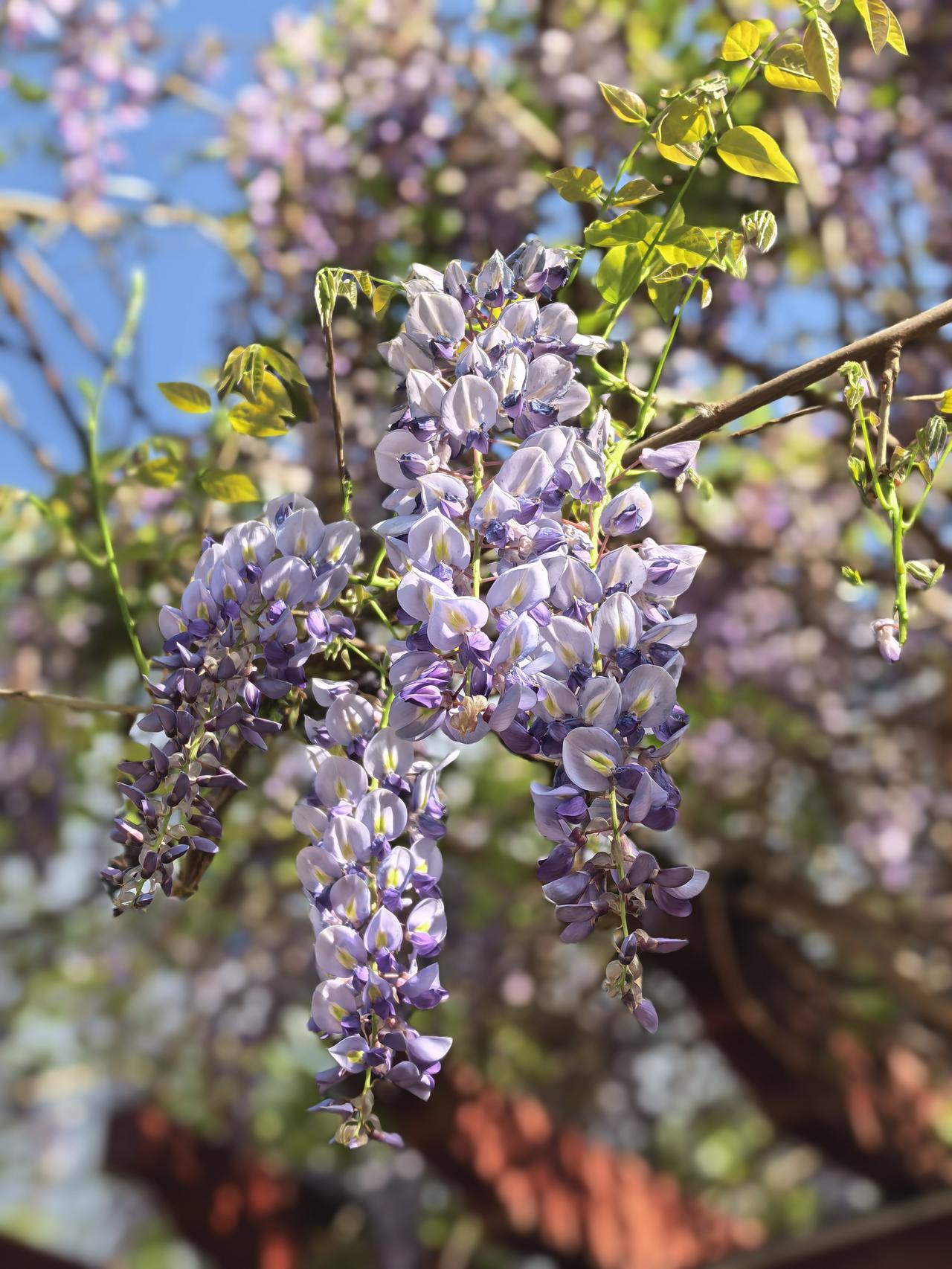 朋友请我吃饭，我欣然应约，为他感到高兴。

朋友原来是一家国企的中层管理人员，任