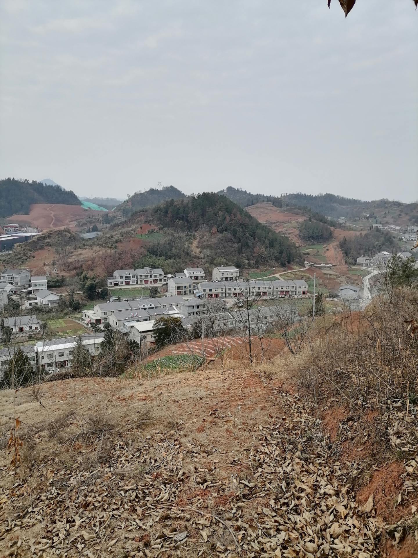 1947年8月，东北保安司令长官部被撤销，长官杜聿明因病赋闲上海，副长...