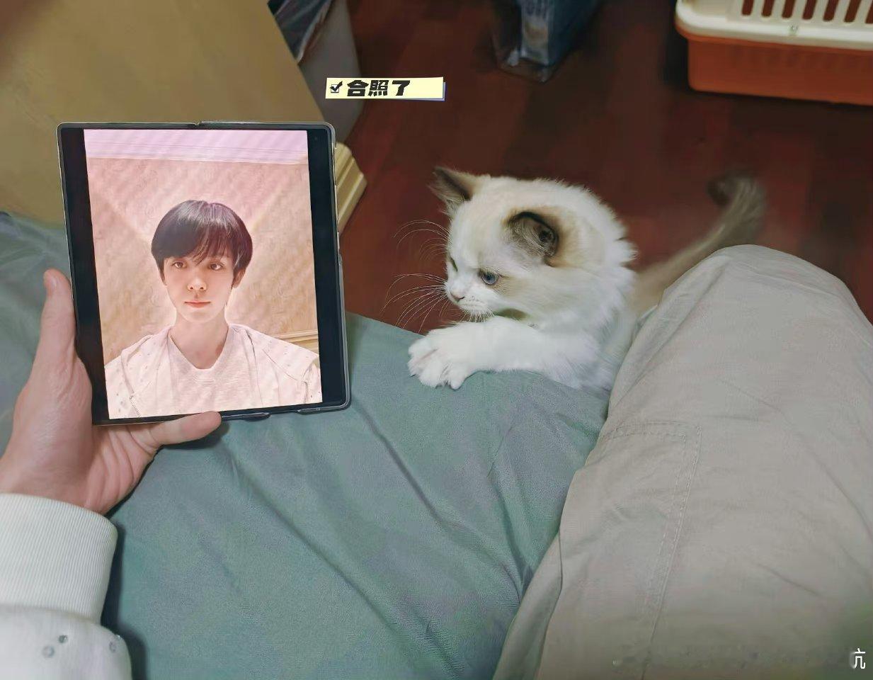#左航和猫合照#左航和猫猫合照了，真的好可爱，他的好兄弟“厚米”～[哈哈] ​​