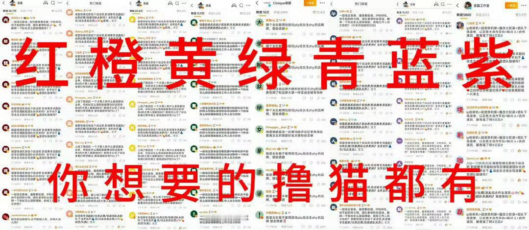 秤砣是看到丞磊 想要彩虹🌈，所以打算让撸猫再来一次吗白鹿