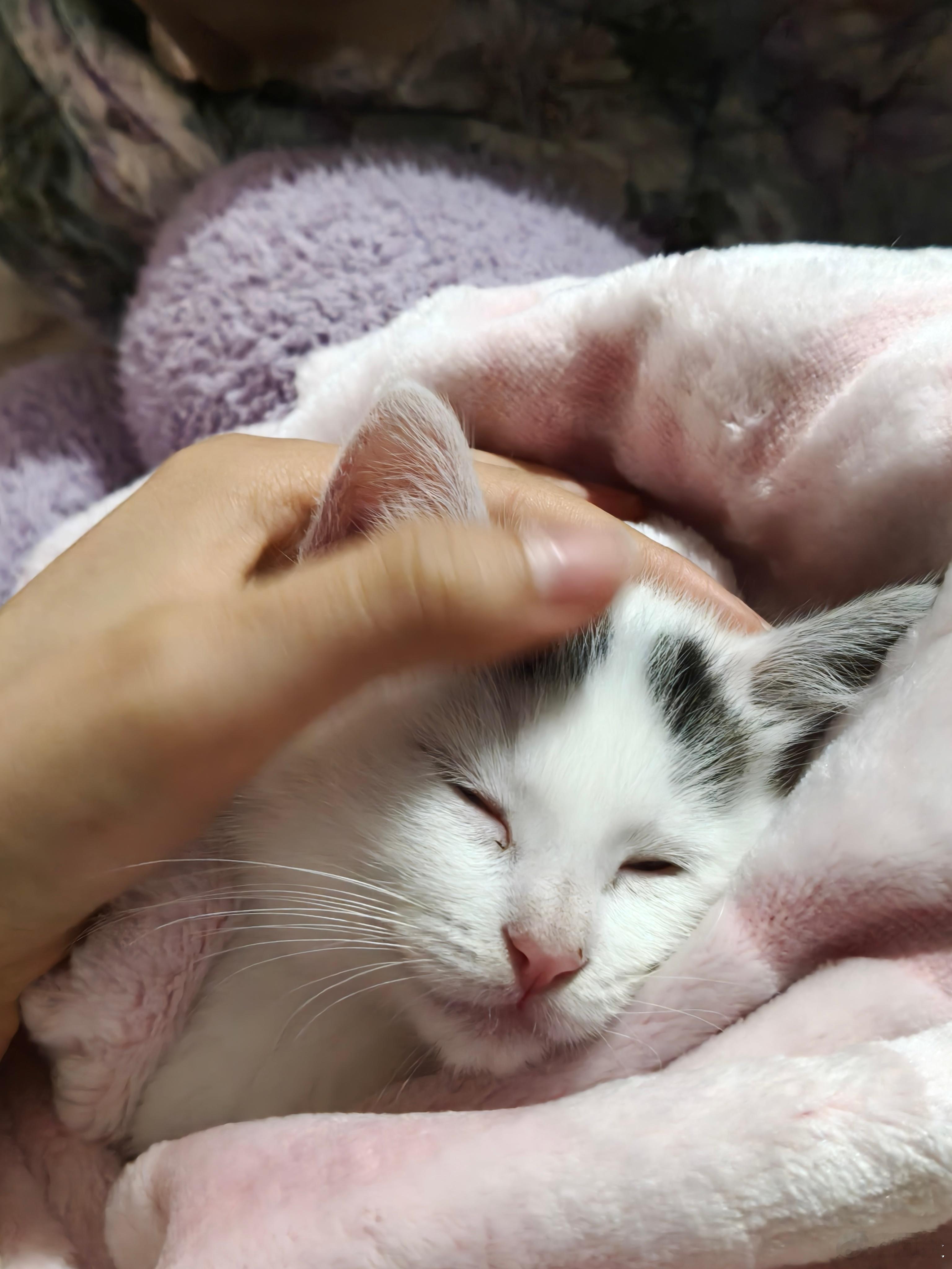 就算你不是一个听话的孩子也没关系 