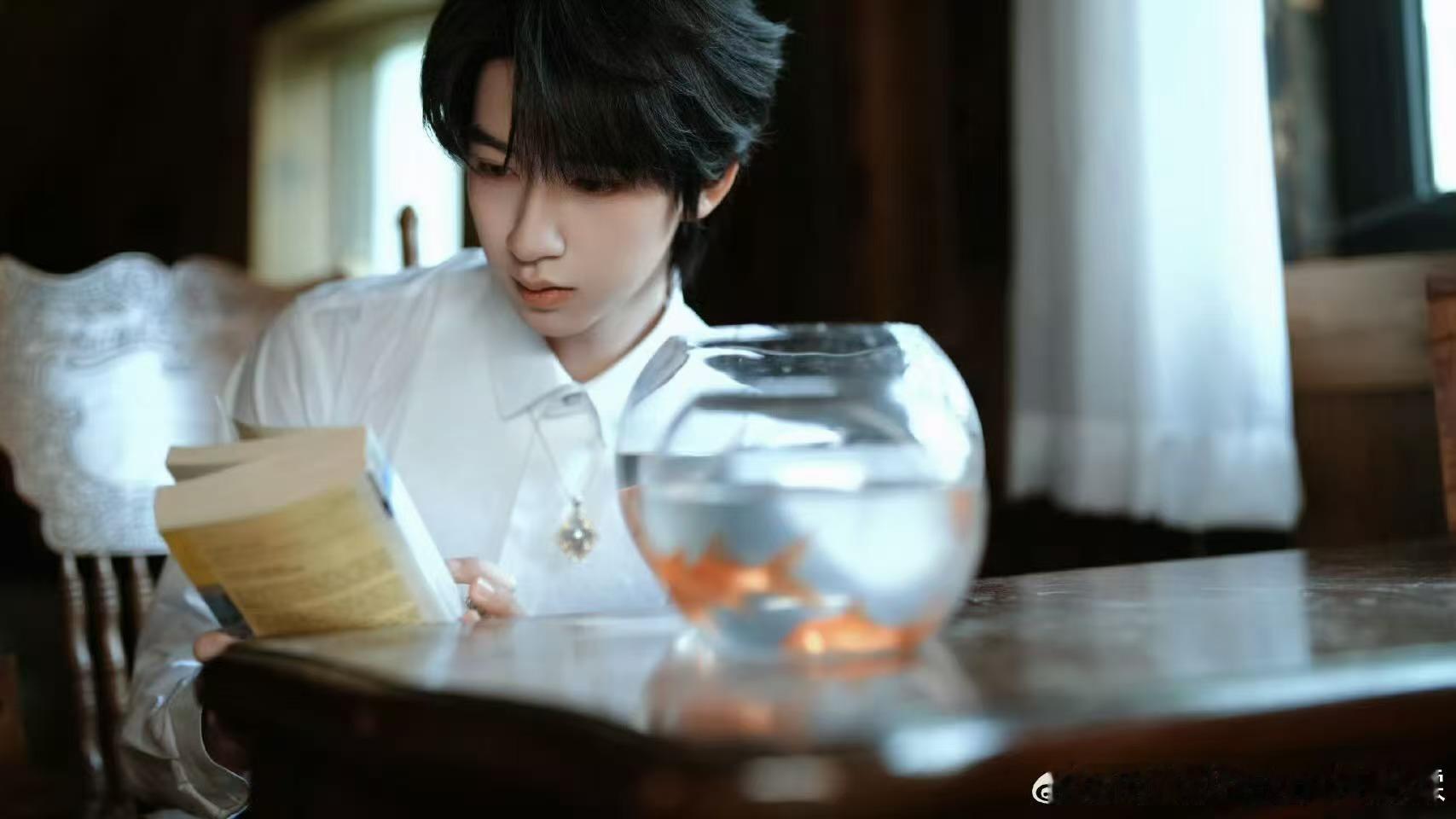 贺峻霖春天的滤镜贺峻霖金鱼写真贺峻霖春天的滤镜，好帅啊，