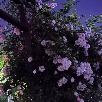 心怀感恩，幸福常在。快乐属于知足者，幸福属于感恩者。用平常心对待生命的每一天，用