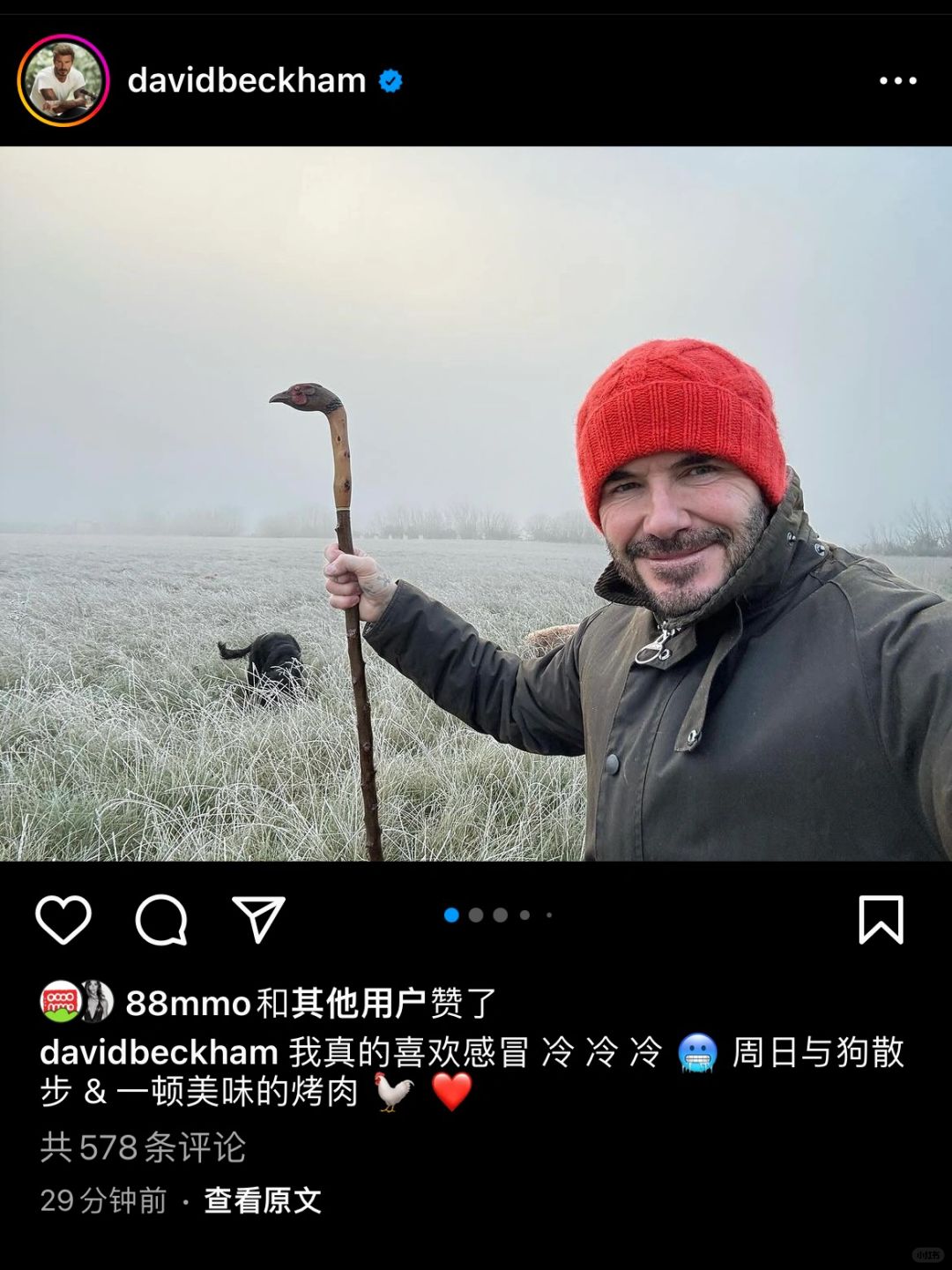 小贝发动态：周日与狗散步🚶🏻‍♂️🐶