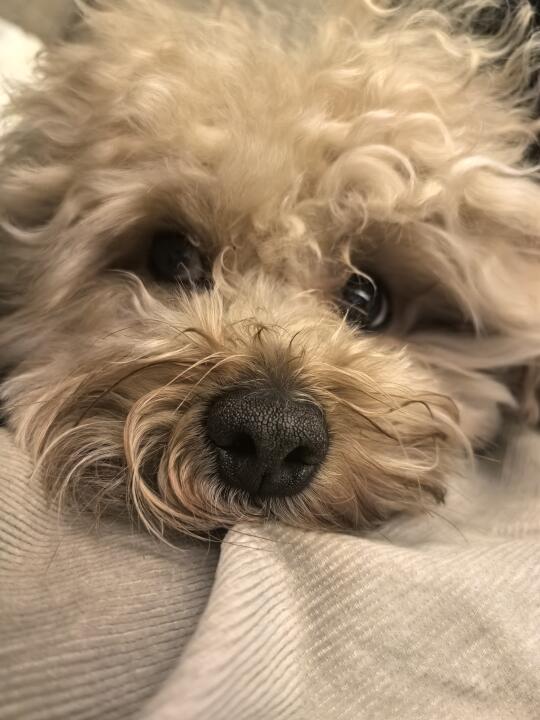 报告姨姨们我洗香香了