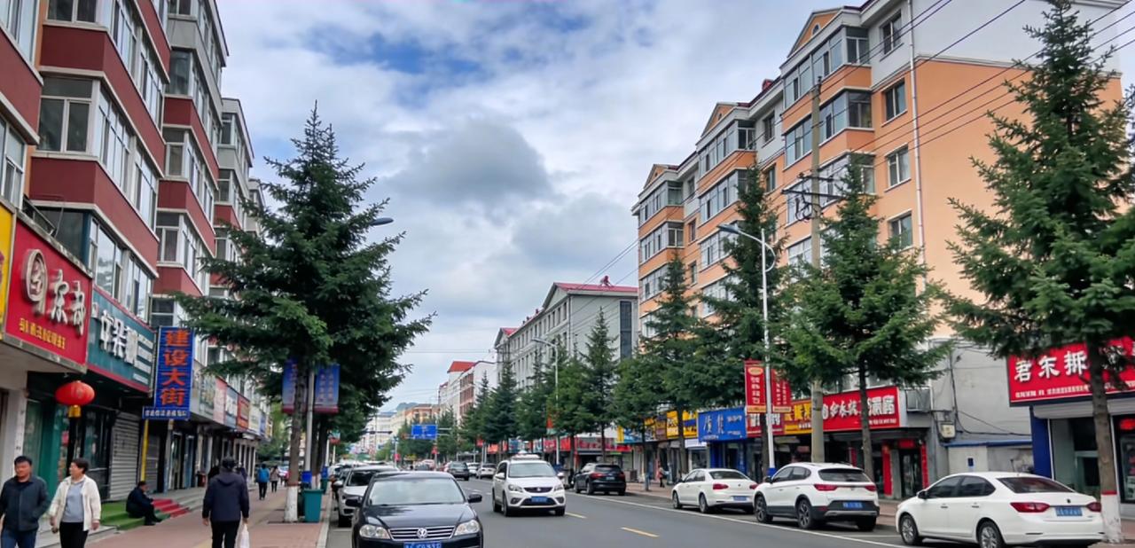 走进图们友谊街，这里是最繁华的地方

图们不大，可要是问哪里最热闹，所有人都会指